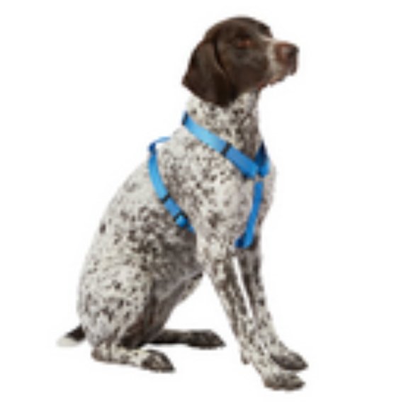 NWOT ~ Top Paw Signature Blue Adjustable Harness (Size: Large) - Picture 2 of 4